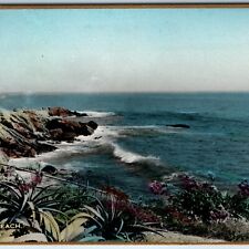 c1930s Laguna Beach, CA RPPC Hand Colored Fred'k Martin Real Photo Postcard A217 picture